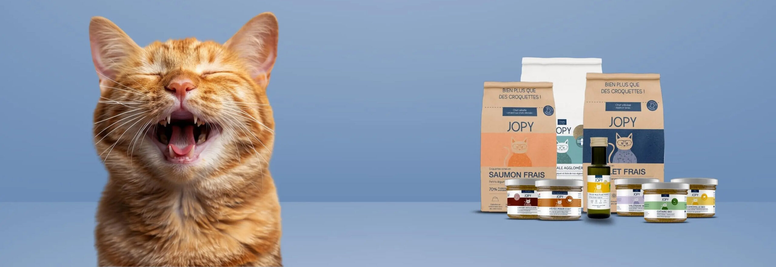 Animal Boutique -Animal Boutique 3 scaled