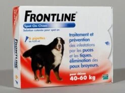 Frontline Spot On Chien De 40-60 Kg 6 Pipettes -Animal Boutique 34fro014