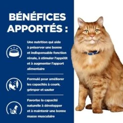 Hill's Prescription Diet Feline K/D + Mobility 3 Kg -Animal Boutique 52742044767 4 prescription diet chat k d mobility croquettes poulet 1 1