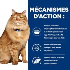 Hill's Prescription Diet Feline K/D + Mobility 3 Kg -Animal Boutique 52742044767 5 prescription diet chat k d mobility croquettes poulet 1 1