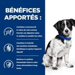 Hill's Prescription Diet Canine I/D Stress Mini 3 Kg -Animal Boutique 52742048123 4 prescription diet chien i d stress mini croquettes 1 1 1