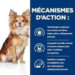 Hill's Prescription Diet Canine T/D MINI 3 Kg -Animal Boutique 52742402109 5 prescription diet chien t d mini croquettes poulet