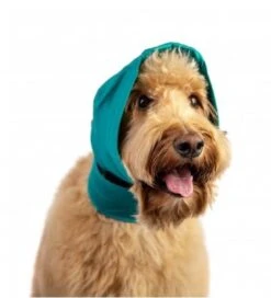 Bandage No Flap Pour Chien S