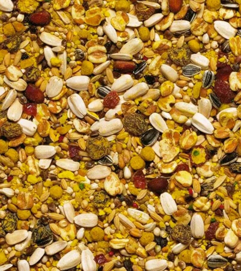 Beaphar XtraVital Perroquets 1 Kg 3 Beaphar XtraVital Perroquets 1 Kg – Image 3