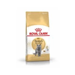 Royal Canin British Shorthair Adult 10 Kg