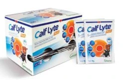 Calf Lyte Plus 24 Sachets