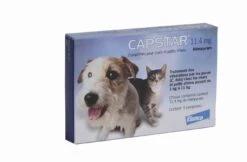 Capstar 11.4 Mg Pour Chat Et Petit Chien -Animal Boutique capstar 11.4 mg pour chat et petit chien