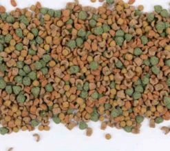 Care+ Cochon D'Inde 5 Kg -Animal Boutique care cochon d inde 5 kg3