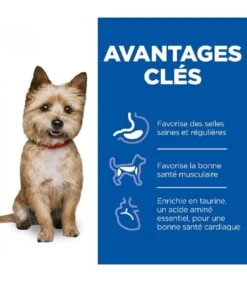 Hill's Science Plan VetEssentials Canine Healthy Digestive Biome Small & Mini 7 Kg -Animal Boutique croquettes healthy digestive biome small mini chien sac