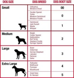 Botte De Protection Mikki T.0 -Animal Boutique dog boot sizing mikki 4