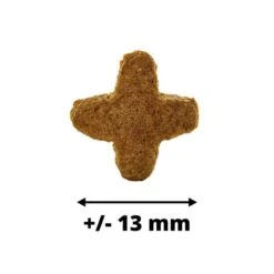 Dogteur Premium Low Grain Chats D’intérieur Volaille 450 G -Animal Boutique dogteur croquettes chats da inta rieur volaille 450 g 6