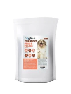 Dogteur Friandises Peau Et Pelage Chien 70 G