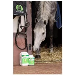 Ekyflex Arthro Evo 450 G -Animal Boutique ekyflex arthro evo cheval box audevard 2