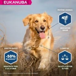 Eukanuba Chien Daily Care Surpoids Ou Stérilisé 12 Kg -Animal Boutique eukanuba chien daily care surpoids ou st rilis 12 kg3