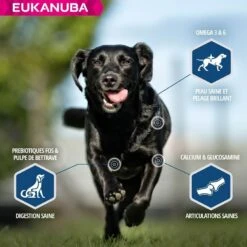 Eukanuba Chien Daily Care Surpoids Ou Stérilisé 12 Kg -Animal Boutique eukanuba chien daily care surpoids ou st rilis 12 kg4