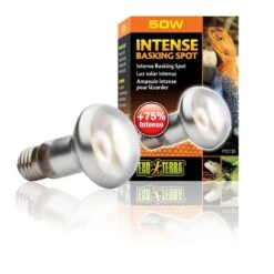 Exo Terra Lampe Intense à Vis Pour Terrarium 50 W -Animal Boutique exo terra lampe intense vis pour terrarium 50 w