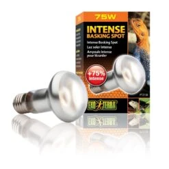 Exo Terra Lampe Intense à Vis Pour Terrarium 75 W -Animal Boutique exo terra lampe intense vis pour terrarium 75 w