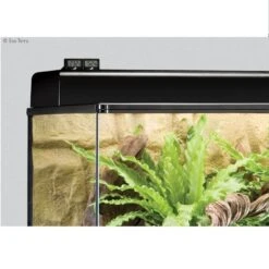 Exo Terra Thermomètre Digital Pour Terrarium -Animal Boutique exo terra thermom tre digital pour terrarium