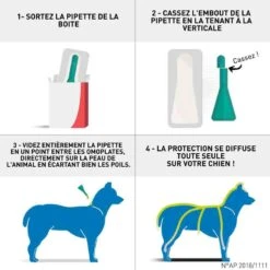 Frontline Spot On Chien De 40-60 Kg 6 Pipettes -Animal Boutique frontline spot on chien de 40 60 kg 6 pipettes2