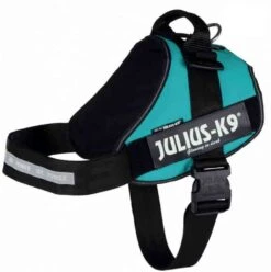 Julius K9 Harnais Power Julius-K9 IDC Pétrol L -Animal Boutique harnais power julius k9 idc pe trol l3