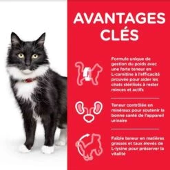 Hill's Science Plan Hill's Science Plan Feline Mature Adult 7+ Sterilised Cat Poulet 3 Kg -Animal Boutique hill s science plan feline mature adult 7 sterilised cat poulet 3 kg4