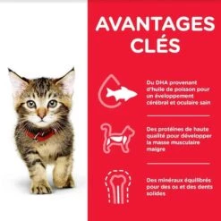 Hill's Science Plan Hill's Science Plan Feline Kitten Poulet 1,5 Kg -Animal Boutique hill s science plan kitten healthy development poulet 1 5 kg2