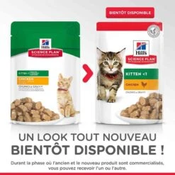 Hill's Science Plan Hill's Science Plan Kitten Poulet Sachets 12 X 85 Grs -Animal Boutique hill s science plan kitten poulet sachets 12 x 85 grs 4 1