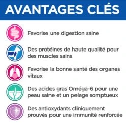 Hill's Science Plan VetEssentials Feline Adult Poulet Saumon 12 X 85 G -Animal Boutique hill s vetessentials feline adult poulet 12 x 85 g3 2 1