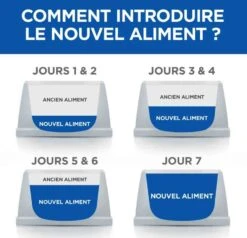 Hill's Science Plan VetEssentials Feline Young Adult Dental Health 2,5 Kg -Animal Boutique hill s vetessentials feline young adult dental health poulet 3 2