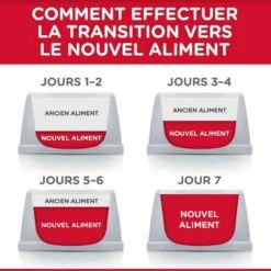 Hill's Science Plan Hill's Science Plan Feline Adult Poulet 10 Kg -Animal Boutique hill s science plan feline adult poulet 10 kg6 2