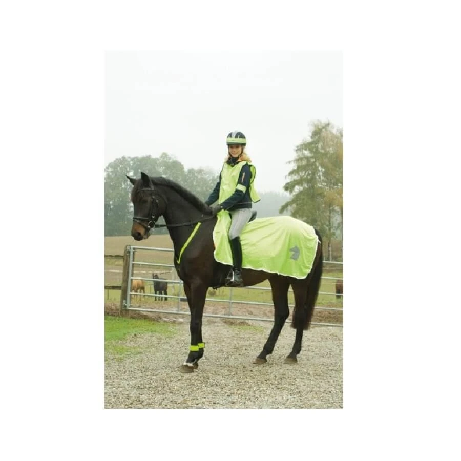 Kerbl Couverture Réfléchissante Cheval 145 Cm 2 Kerbl Couverture Réfléchissante Cheval 145 Cm – Image 2