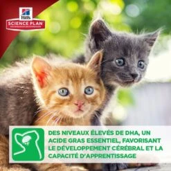 Hill's Science Plan Hill's Science Plan Feline Kitten Poulet 1,5 Kg -Animal Boutique kitten healthy development2 2 2