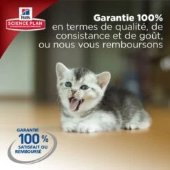 Hill's Science Plan Hill's Science Plan Feline Kitten Poulet 1,5 Kg -Animal Boutique kitten healthy development 6 2