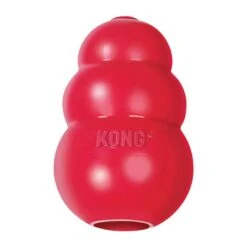 KONG Classic Rouge Médium