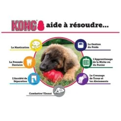 KONG Classic Rouge Médium -Animal Boutique kong classic rouge m dium3