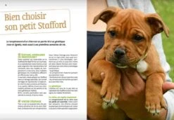 Livre - Bien Vivre Avec Mon Staffordshire Bull Terrier -Animal Boutique livre bien vivre avec mon staffordshire bull terrier3