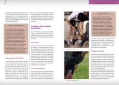 Livre - La Bible Des Soins Naturels Pour Le Cheval, Le Poney Et L'âne -Animal Boutique livre la bible des soins naturels pour le cheval le poney et l a ne3
