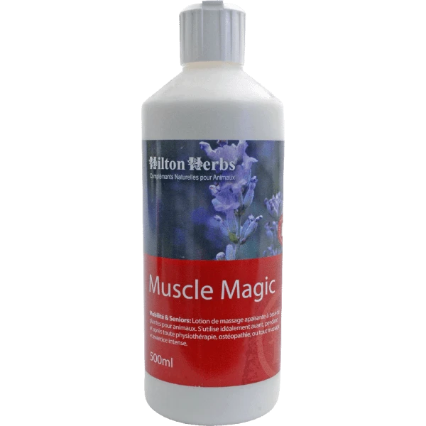 Hilton Herbs Muscle Magic Muscles Cheval 250 Ml 1 Hilton Herbs Muscle Magic Muscles Cheval 250 Ml