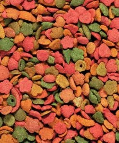 Nutribird P 15 Tropical Perroquet 1 Kg -Animal Boutique nutribird p 15 tropical perroquet2 1