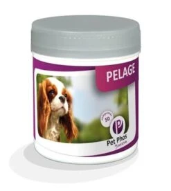 Pet Phos Pelage Chien 50 Cp