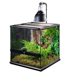 Exo Terra Support Pour Dôme D'éclairage -Animal Boutique pt2223 light bracket in use 02