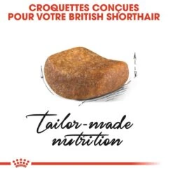 Royal Canin British Shorthair Adult 10 Kg -Animal Boutique royal canin british shorthair adult 10 kg 3