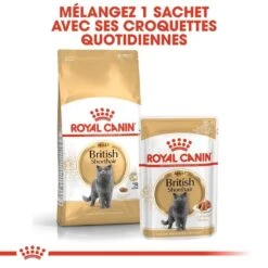 Royal Canin British Shorthair Adult 10 Kg -Animal Boutique royal canin british shorthair adult 10 kg 5
