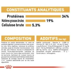 Royal Canin British Shorthair Adult 10 Kg -Animal Boutique royal canin british shorthair adult 10 kg 7