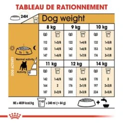 Royal Canin Bouledogue Français Adult 9 Kg -Animal Boutique royal canin bouledogue fran ais adult rationnement 1 1