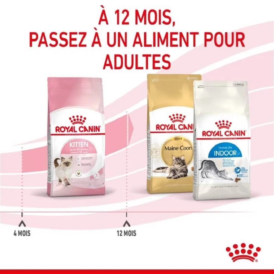 Royal Canin Féline Health Nutrition Kitten Second Age 400 G – Image 6