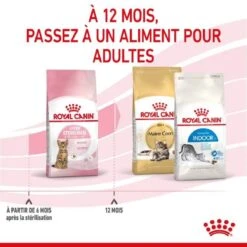 Royal Canin Feline Health Nutrition Kitten Sterilised 3,5 Kg -Animal Boutique royal canin feline health nutrition kitten sterilised 5 1