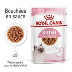 Royal Canin Kitten En Sauce 12 X 85 Grs -Animal Boutique royal canin kitten en sauce 2