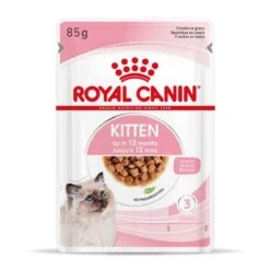 Royal Canin Kitten En Sauce 12 X 85 Grs -Animal Boutique royal canin kitten en sauce 4