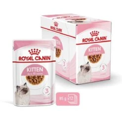 Royal Canin Kitten En Sauce 12 X 85 Grs -Animal Boutique royal canin kitten en sauce 6